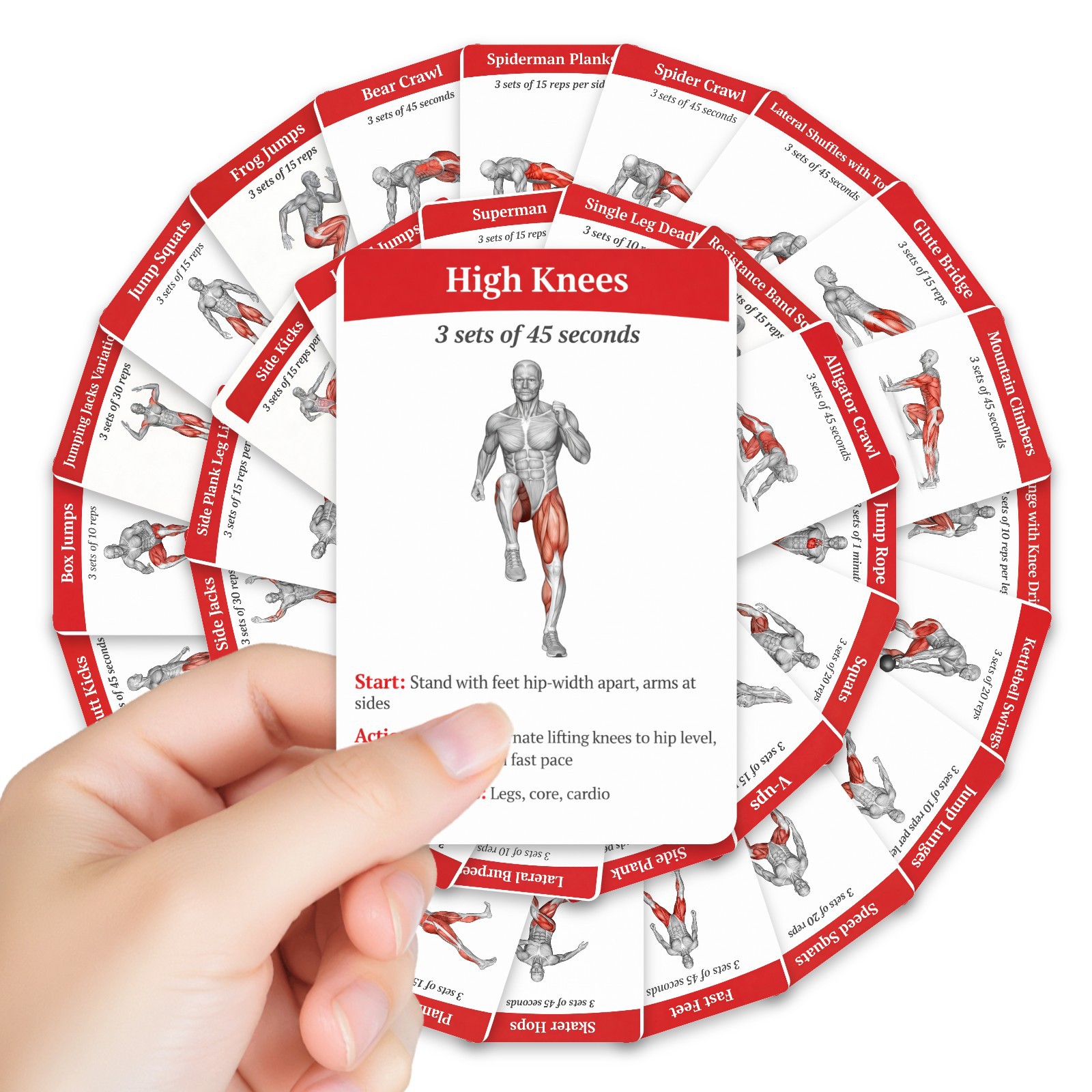 Home Gym Needs - 36Pcs Kartu Panduan Latihan Pembakaran Lemak
