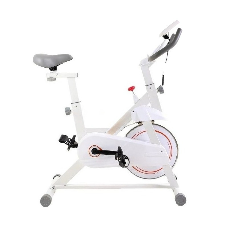 Sepeda Spinning Profesional Ba - Home Gym Layout ulasan dan harga
