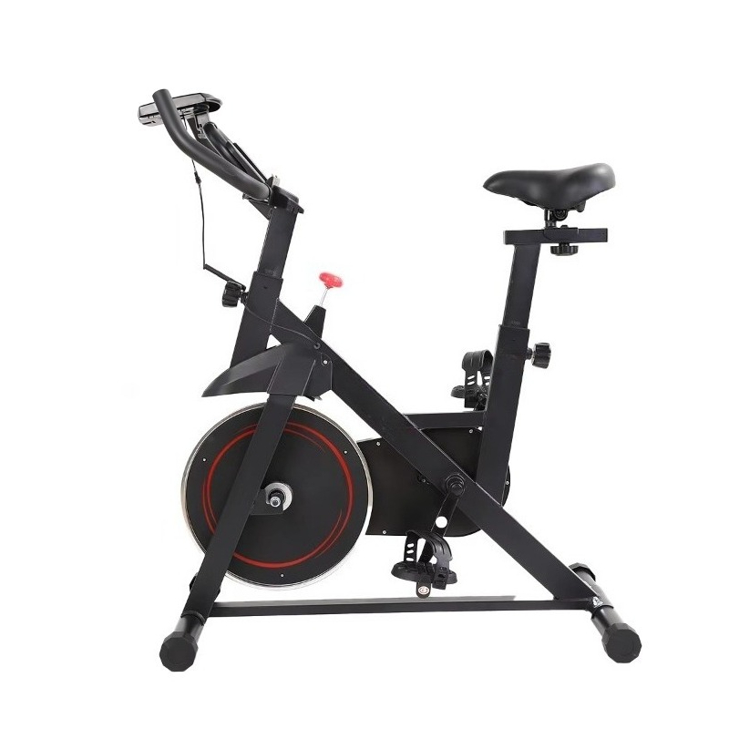 Sepeda Spinning Profesional Ba - Home Gym Layout ulasan dan harga