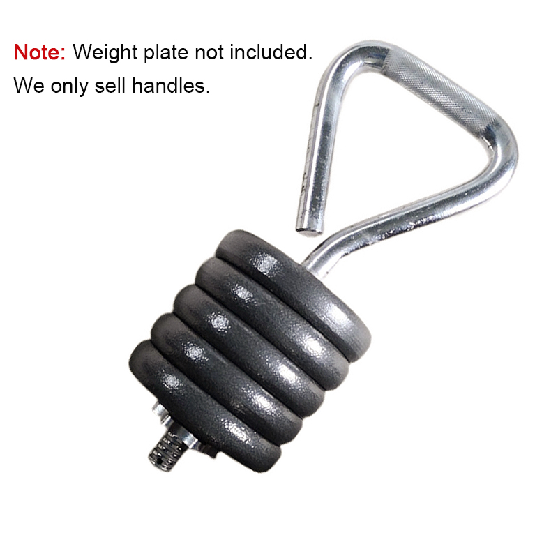 Peralatan Latihan Kekuatan Lat - Home Gym Tools ulasan dan harga