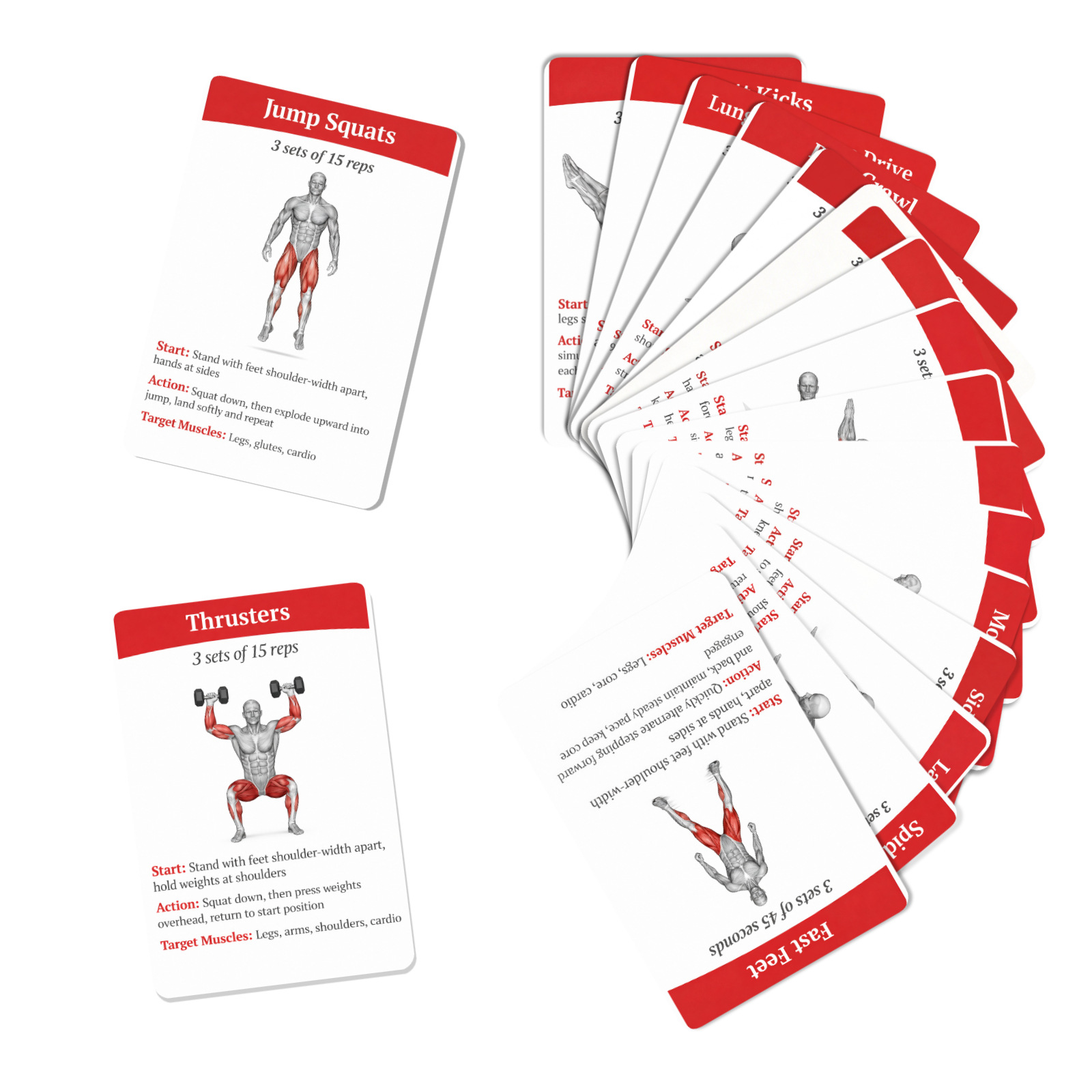 36Pcs Kartu Panduan Latihan Pe - Home Gym Needs ulasan dan harga